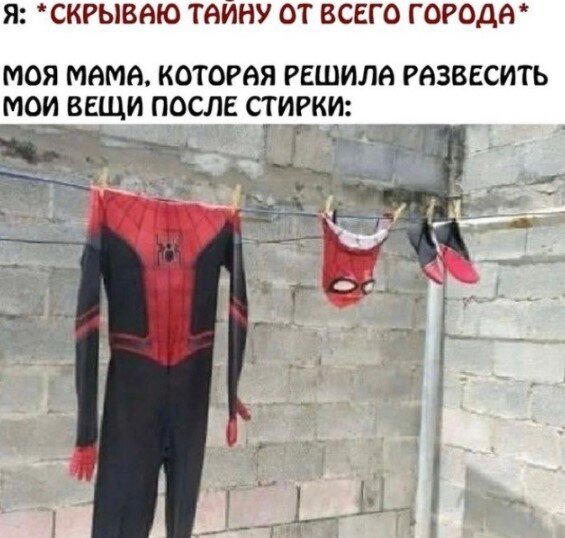Дички дичной