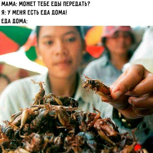 Дички дичной