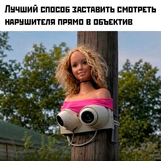 Дички дичной