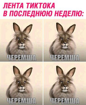 Дички дичной