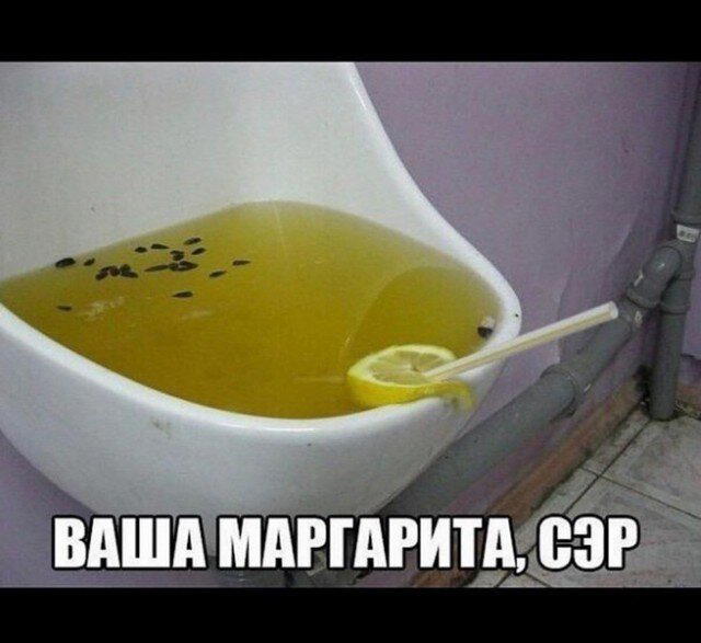 Дички дичной