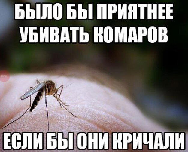Дички дичной