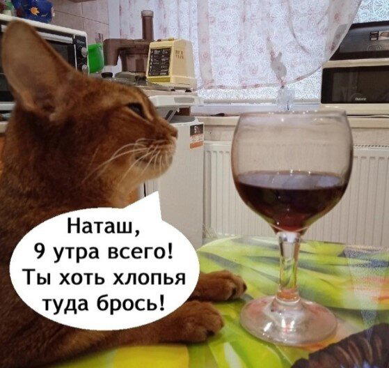 Дички дичной