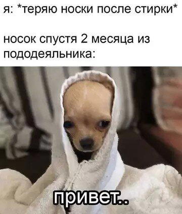 Дички дичной