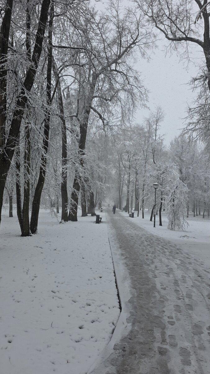 Москва, утро 27.04.2026