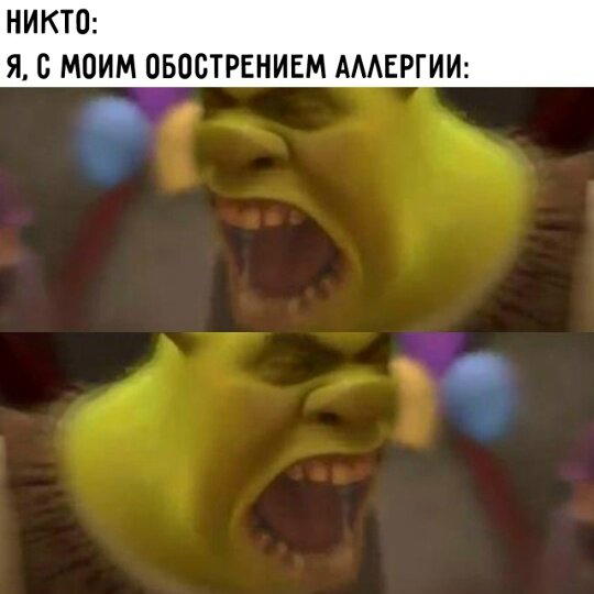 Дички в 4х дневную неделю