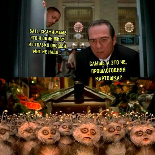 Дички в 4х дневную неделю