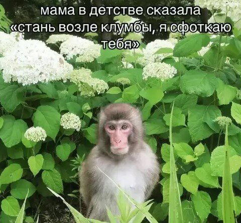 Дички в 4х дневную неделю