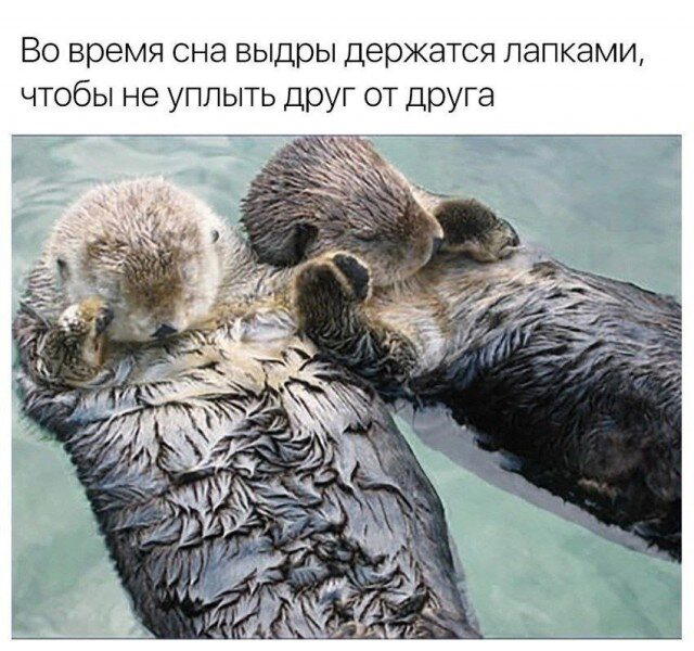 Дички в 4х дневную неделю