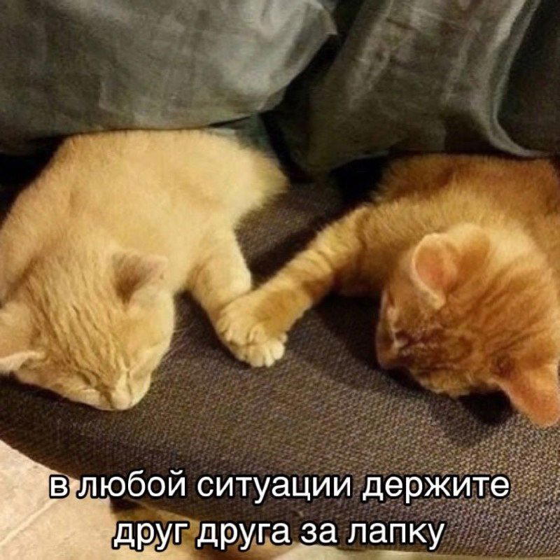 Дички в 4х дневную неделю