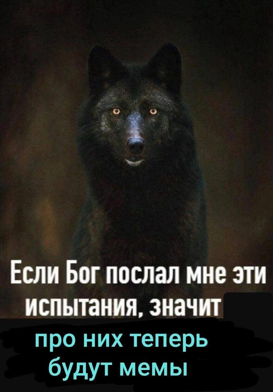 Дички в 4х дневную неделю