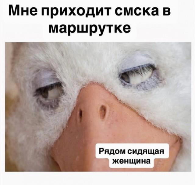 Дички вторника с запахом весны