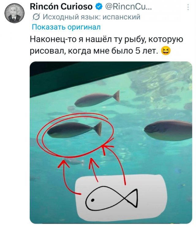 Дички вторника с запахом весны
