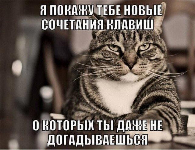 Дички вторника с запахом весны