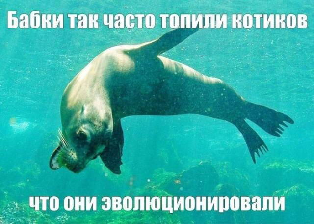 Дички на утро радости в среду