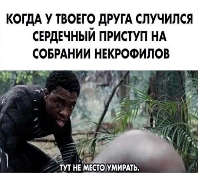 Дички на утро радости в среду