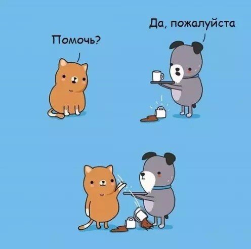 Дички на утро радости в среду
