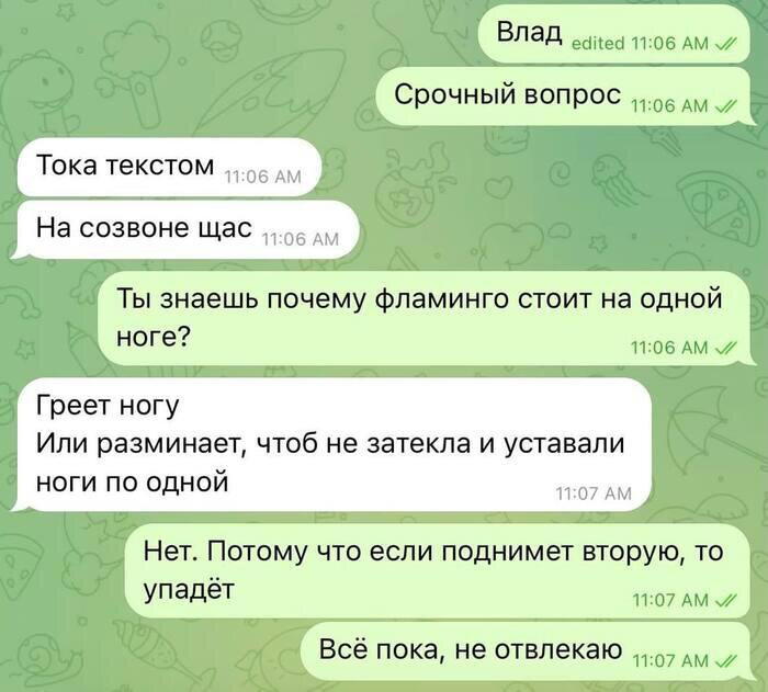 Дички на утро радости в среду