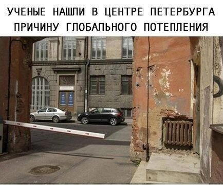 Дички на утро радости в среду