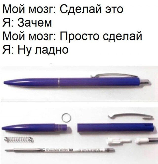 Дички на утро радости в среду