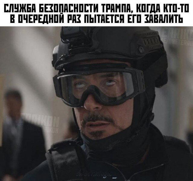 Дички на утро радости в среду