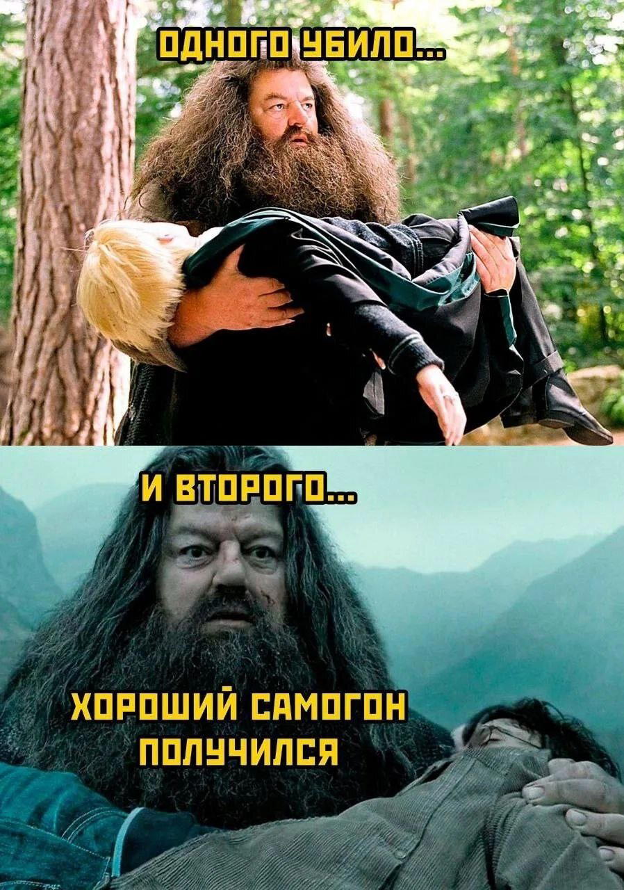 Дички на утро радости в среду