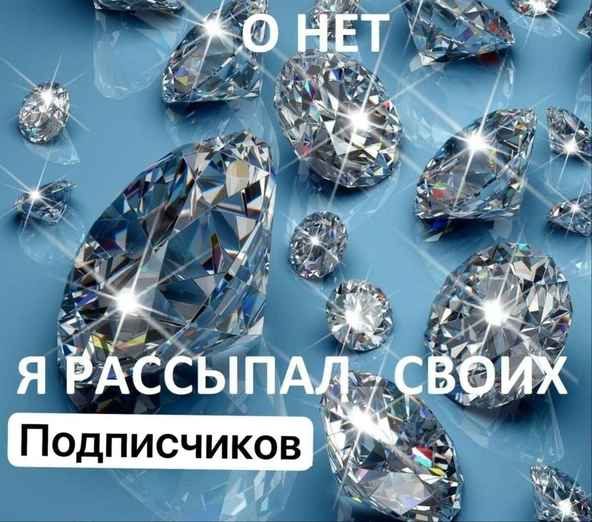 Дички на утро радости в среду