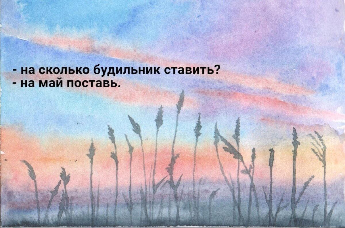 Дички на утро радости в среду