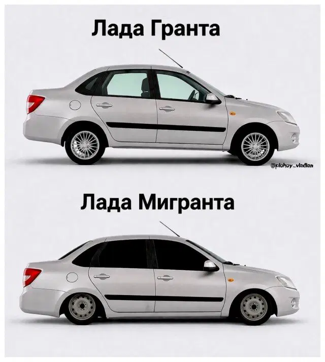 Дички в ночь и на утро всем прекрасного дня ✌️