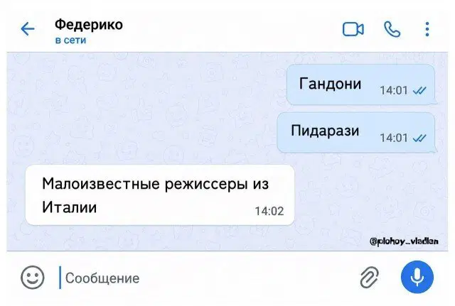 Дички в ночь и на утро всем прекрасного дня ✌️