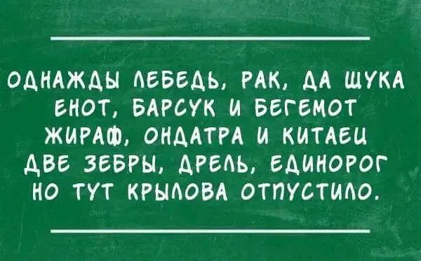 Дички в ночь и на утро всем прекрасного дня ✌️