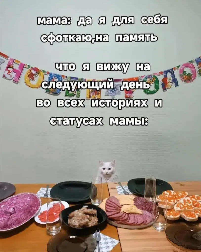 Дички в ночь и на утро всем прекрасного дня ✌️