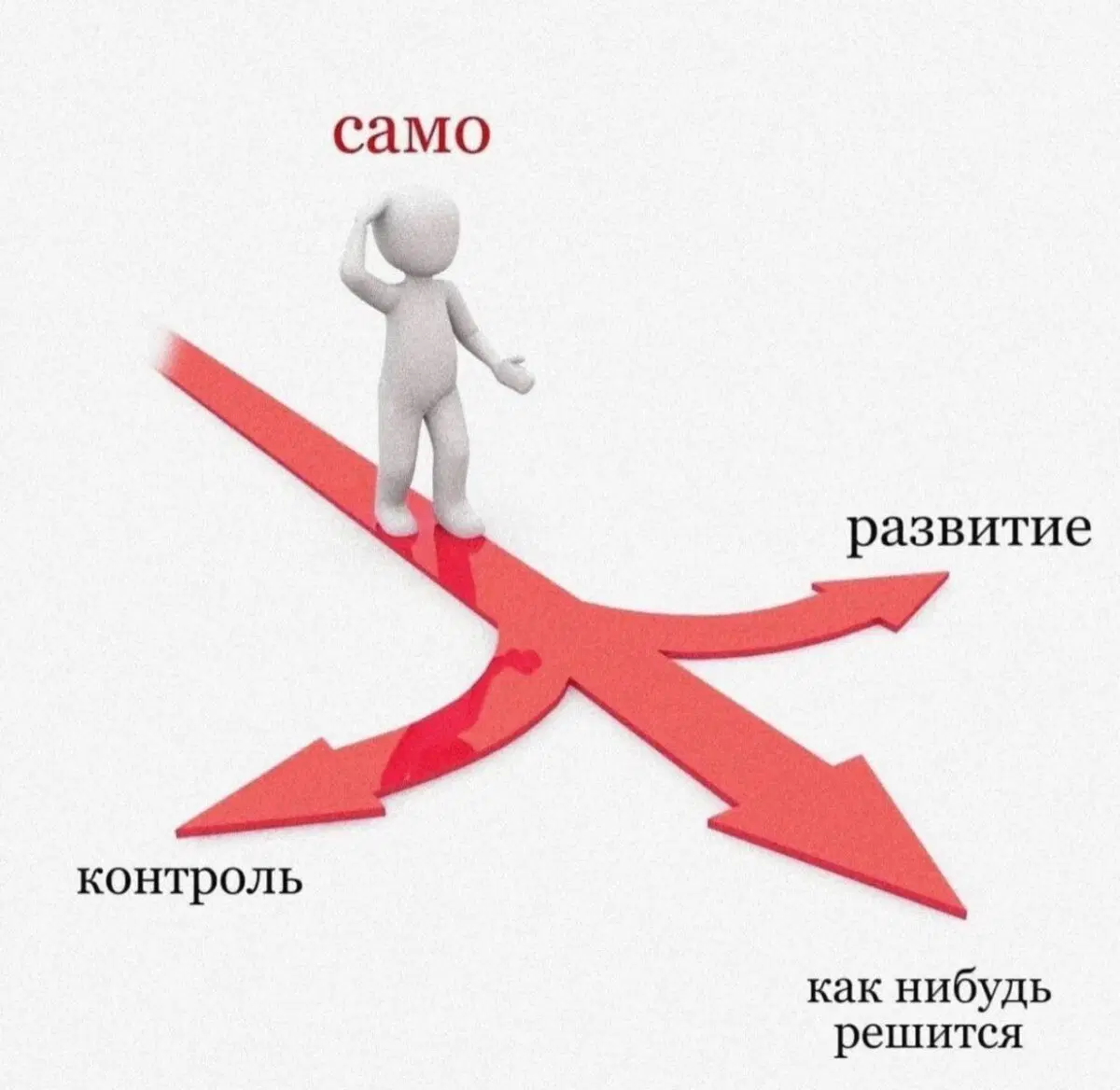 Дички в ночь и на утро всем прекрасного дня ✌️