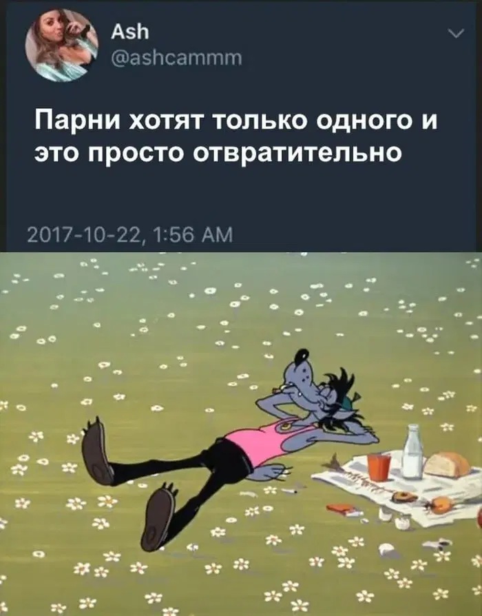 Дички в ночь и на утро всем прекрасного дня ✌️