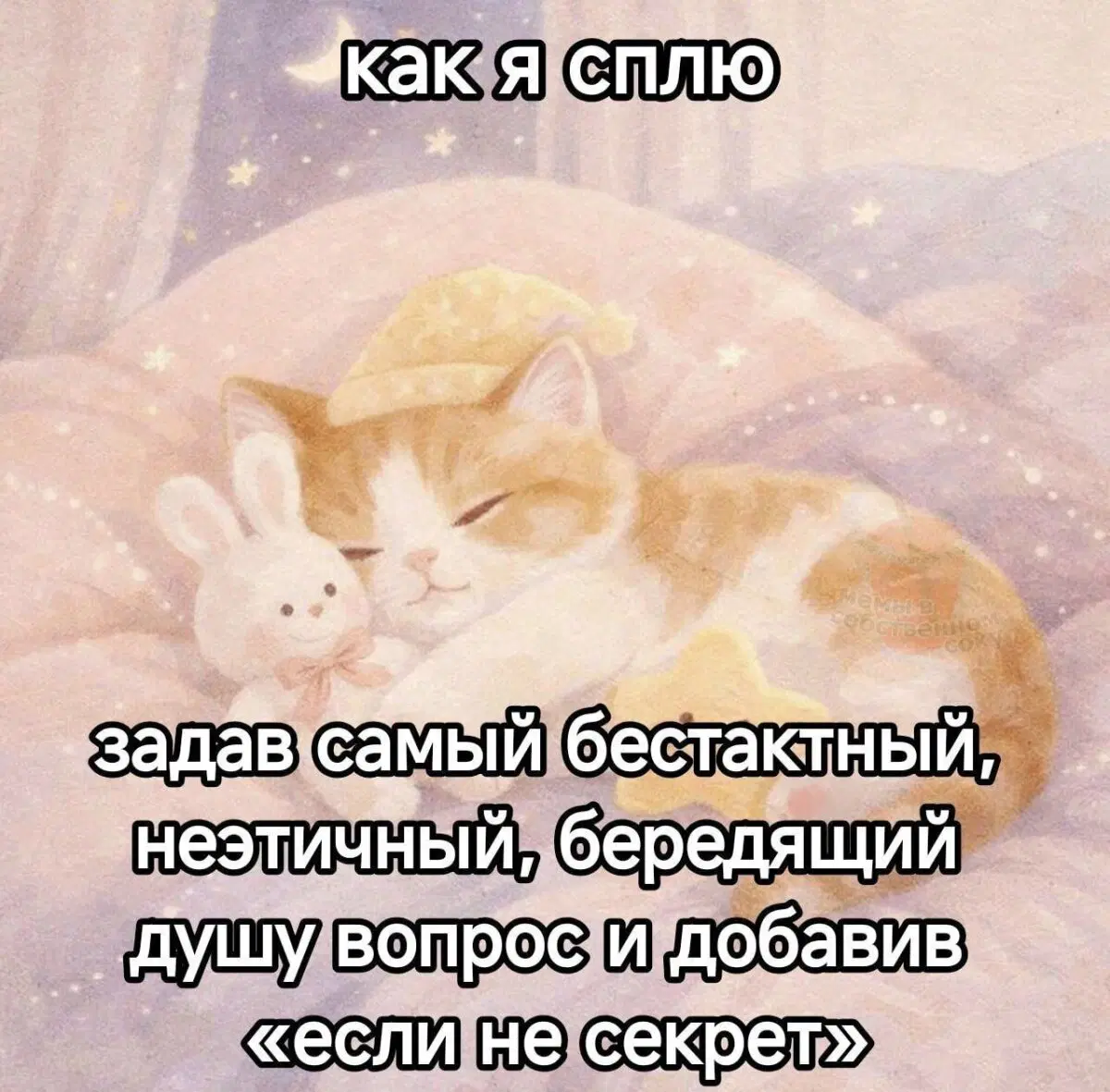 Дички в ночь и на утро всем прекрасного дня ✌️