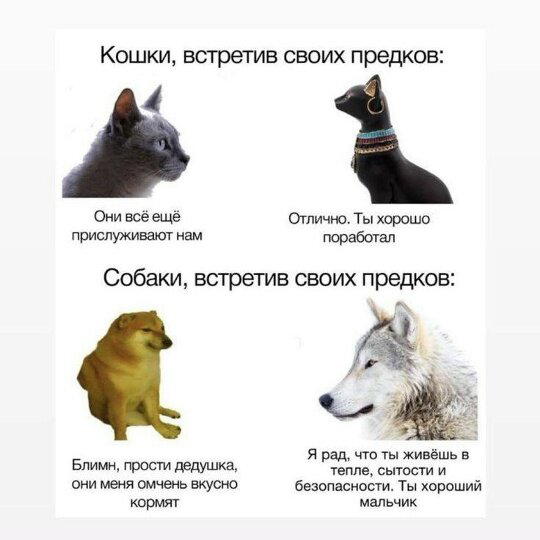 Дички в ночь и на утро всем прекрасного дня ✌️