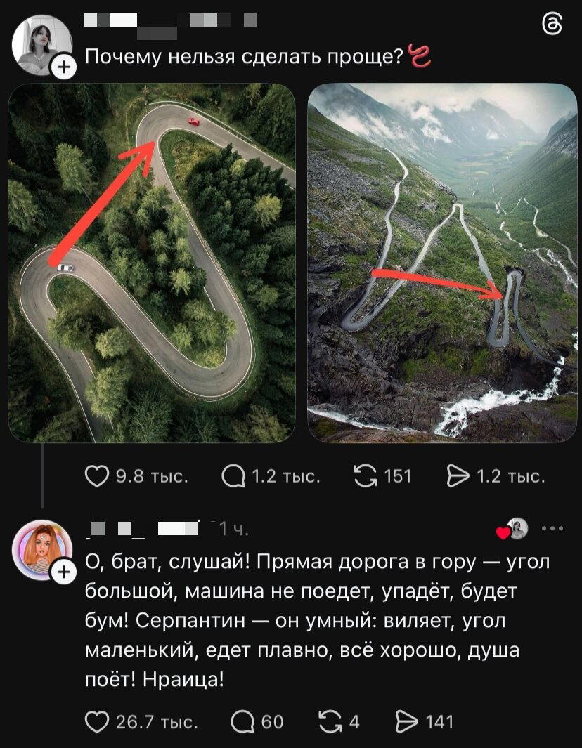 Дички в ночь и на утро всем прекрасного дня ✌️