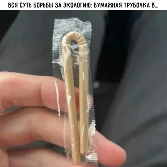 Дички в ночь и на утро всем прекрасного дня ✌️