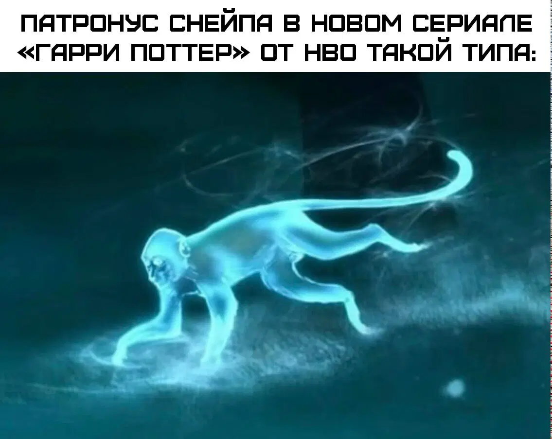 Дички в ночь и на утро всем прекрасного дня ✌️