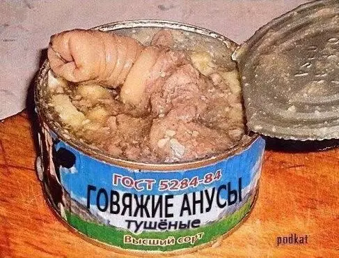 Дички в ночь и на утро всем прекрасного дня ✌️