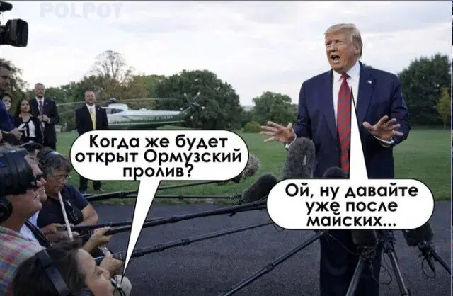 Дички в ночь и на утро всем прекрасного дня ✌️