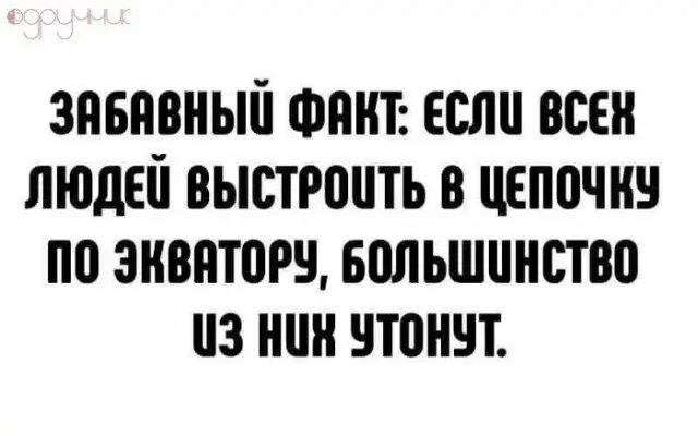 Дички в ночь и на утро всем прекрасного дня ✌️