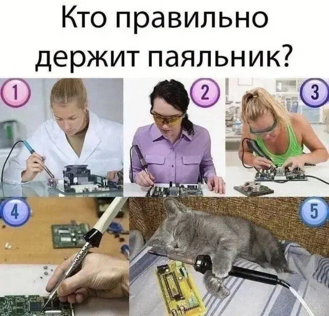 Дички в ночь и на утро всем прекрасного дня ✌️