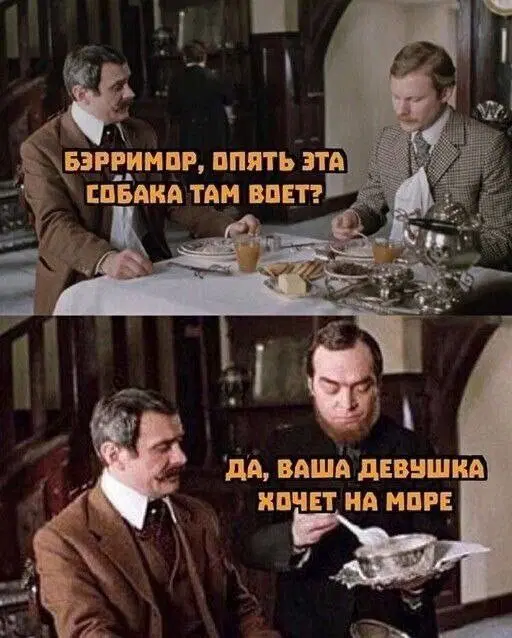 Дички в ночь и на утро всем прекрасного дня ✌️