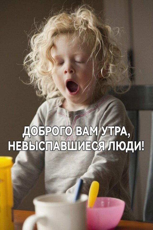 Дички в ночь и на утро всем прекрасного дня ✌️