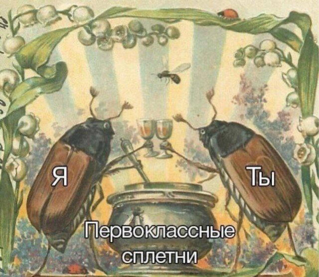 С утра и дичка слаще. Дички на утро