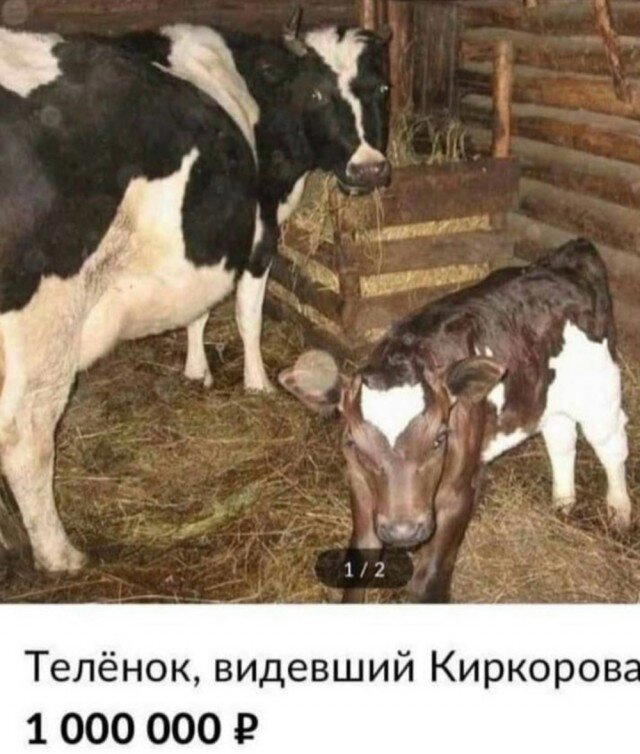 С утра и дичка слаще. Дички на утро