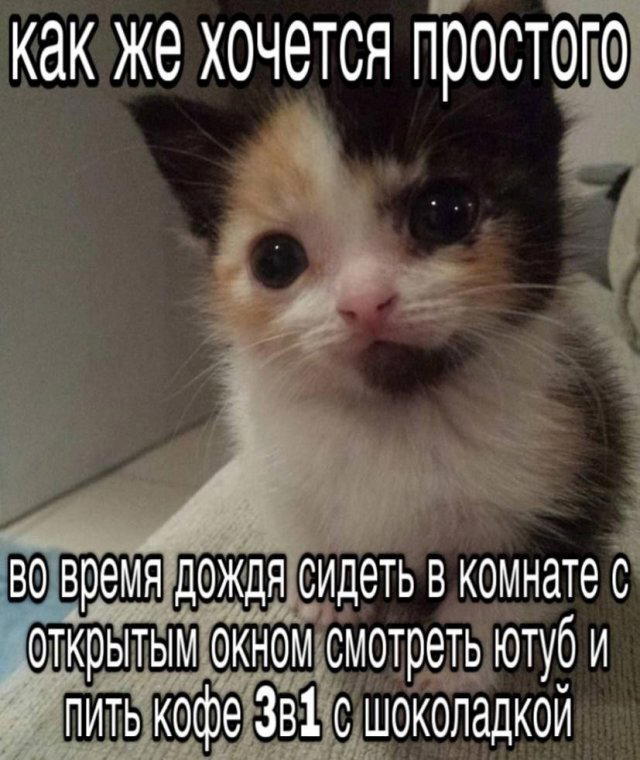 С утра и дичка слаще. Дички на утро