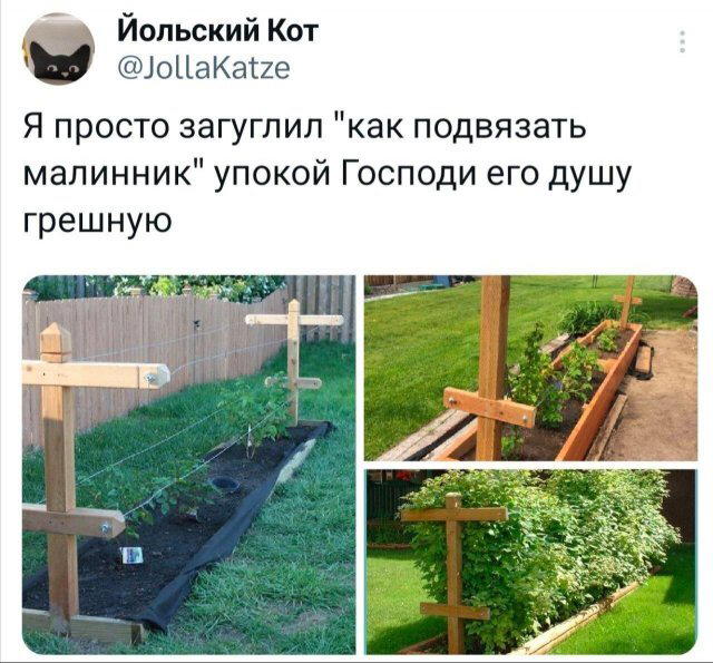 С утра и дичка слаще. Дички на утро
