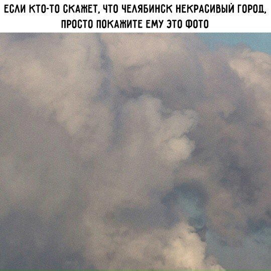 С утра и дичка слаще. Дички на утро